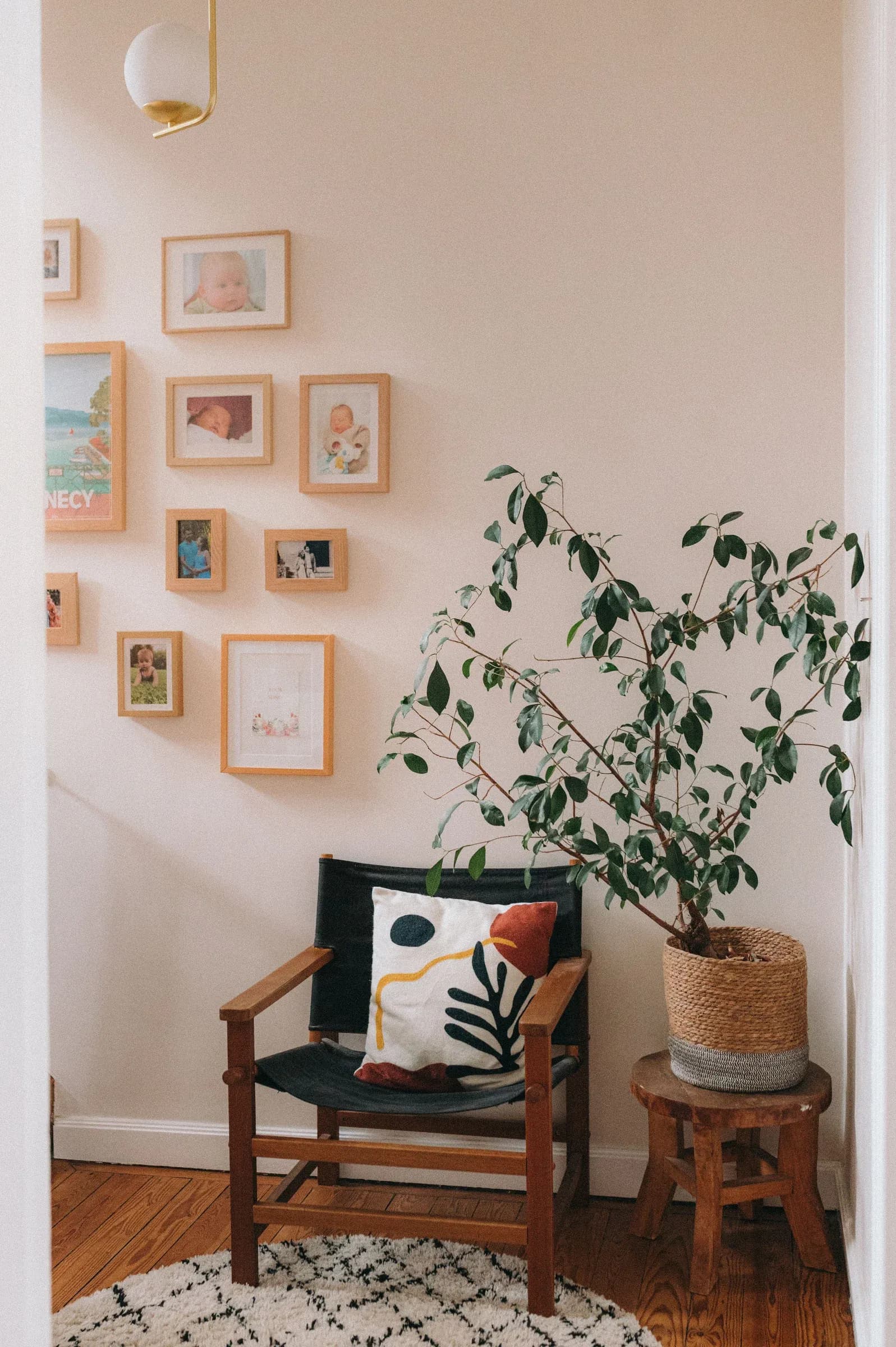 Couloir rose avec mur de cadres, fauteuil et plante verte